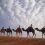 Camel Trekking in Morocco