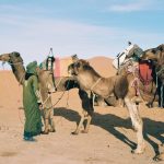 Camel trekking in Morocco