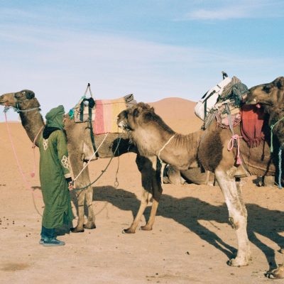 Zagora