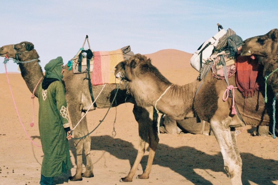 5-Day Marrakech to Erg Chegaga Desert Tour