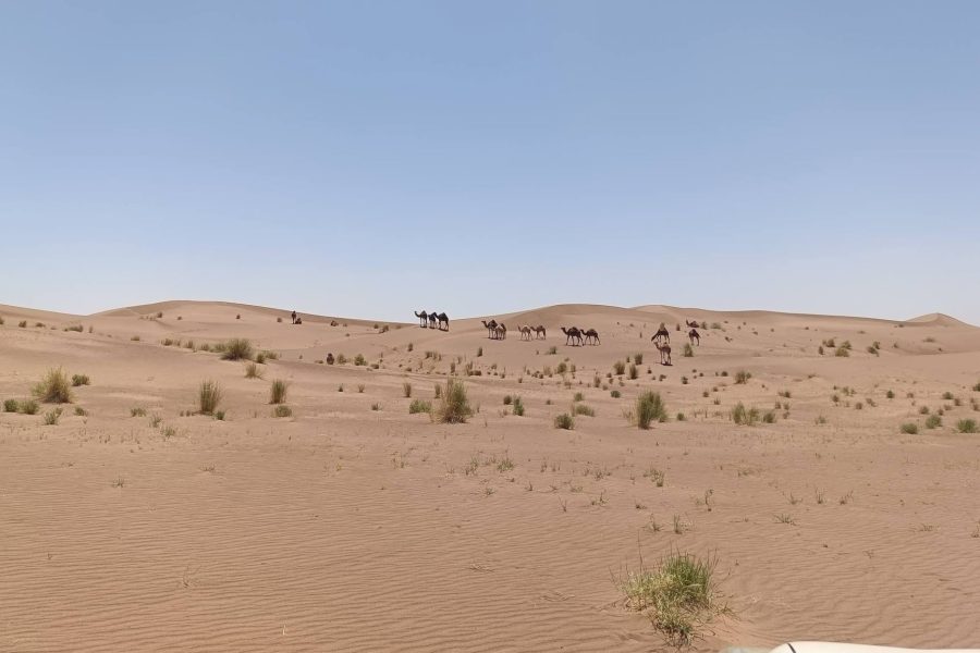 3 Days Ouarzazate to Erg Chegaga Desert Tour