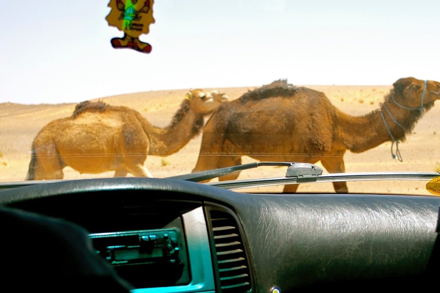1 Day Zagora to Erg Chegaga Desert Tour