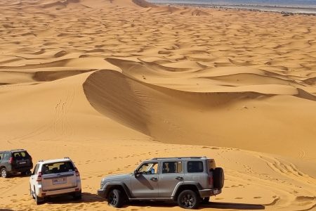 Ways to Choose the Best Tour Operators for Sahara Trips