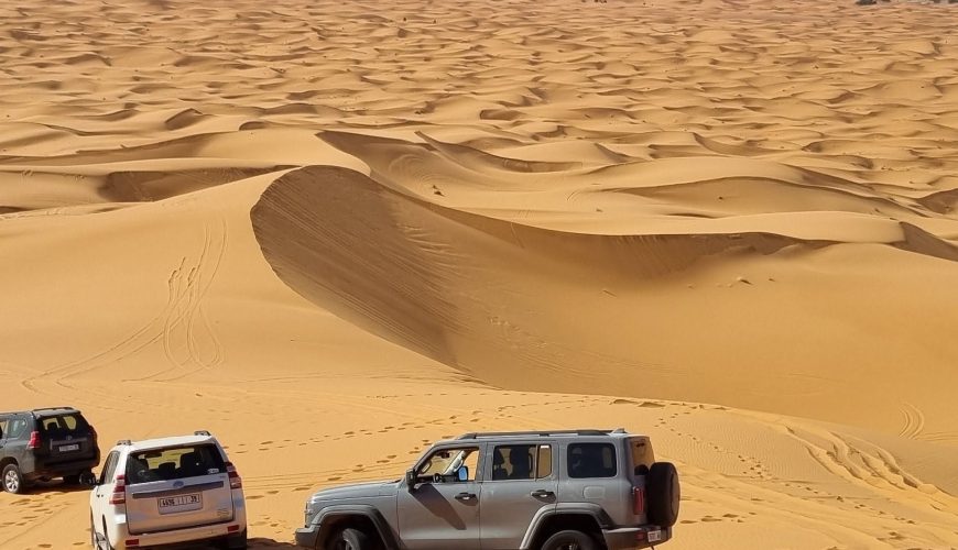 Ways to Choose the Best Tour Operators for Sahara Trips