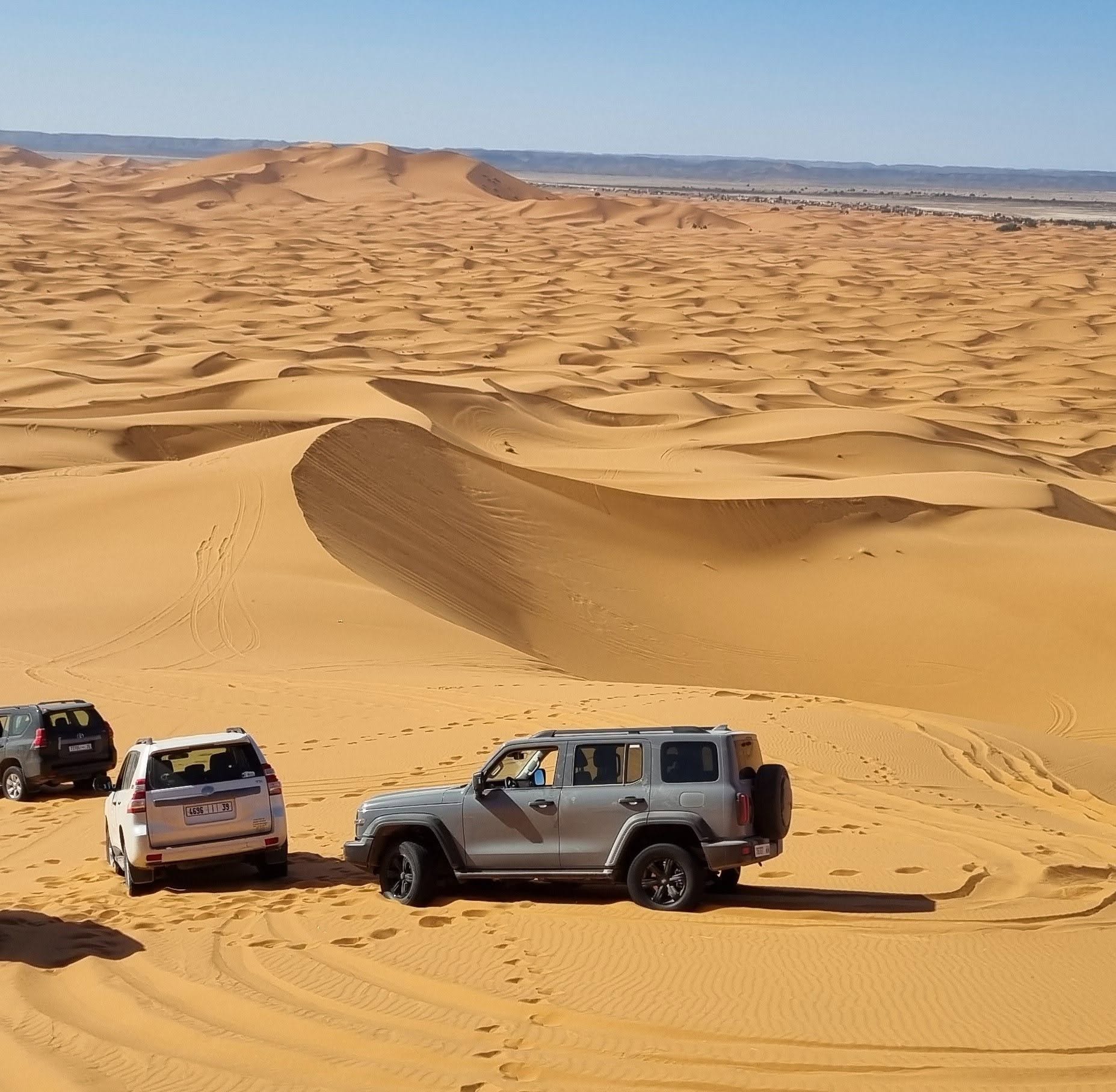 Ways to Choose the Best Tour Operators for Sahara Trips