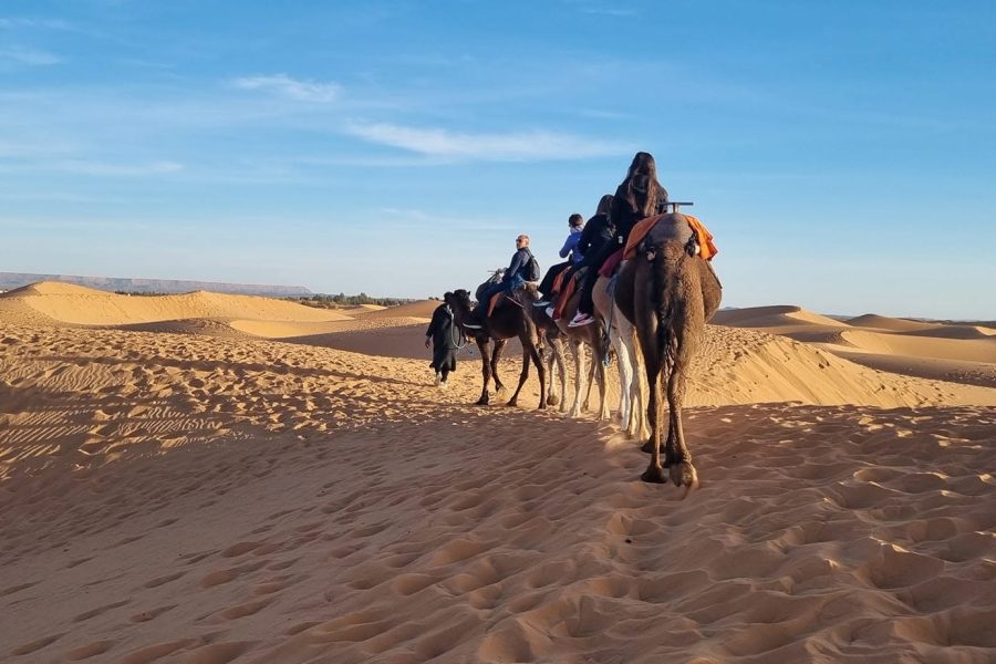 6 Day Morocco Desert Tour from Marrakech (Fez)