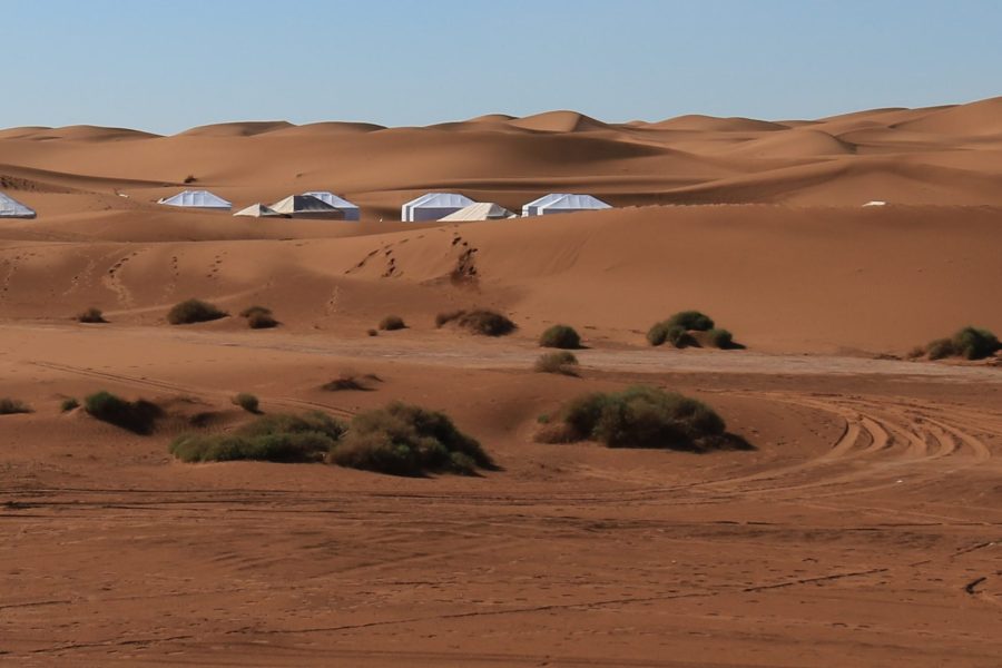 8-Day Marrakech to Erg Chebbi and Erg Chegaga Desert Tour