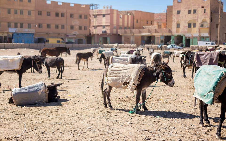 Rissani, Morocco,9 Days Tour from Casablanca around Morocco