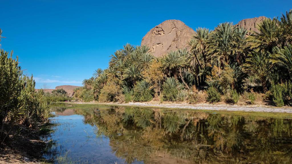 Full-Day Ouarzazate and Oasis Fint Private Tour