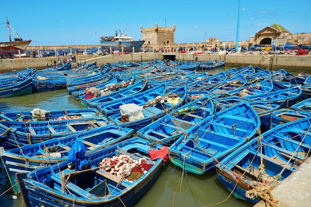 Day Tour from Marrakech to Essaouira	