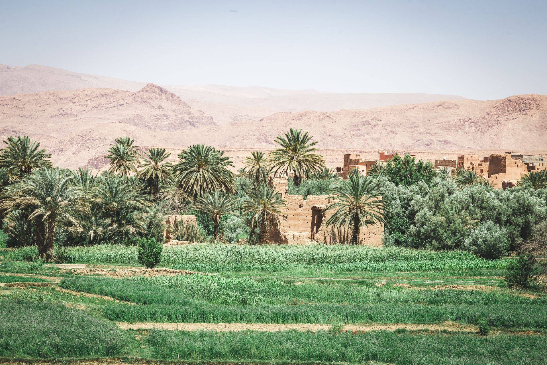 Ouarzazate Kasbahs